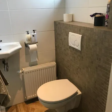 Вилла Birdy Vogelenzang